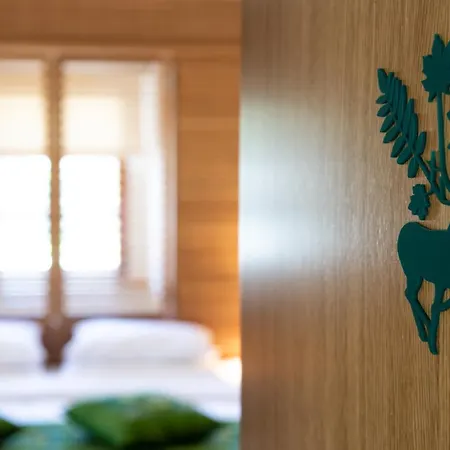 Skrabceva Domacija Ribnica