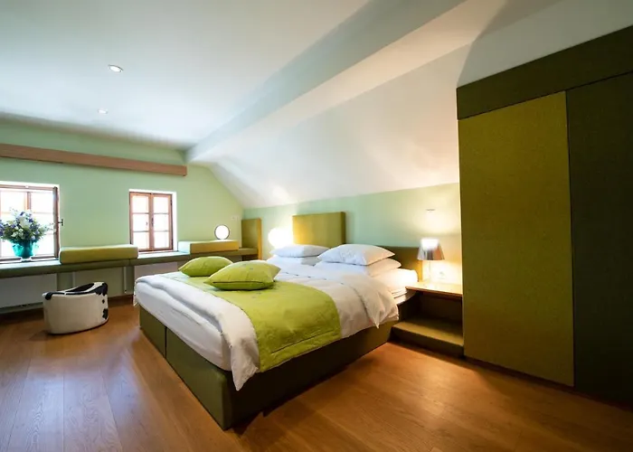 Skrabceva Domacija 4* Ribnica