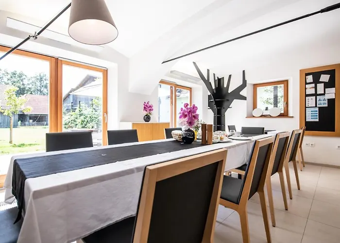 Skrabceva Domacija Ribnica