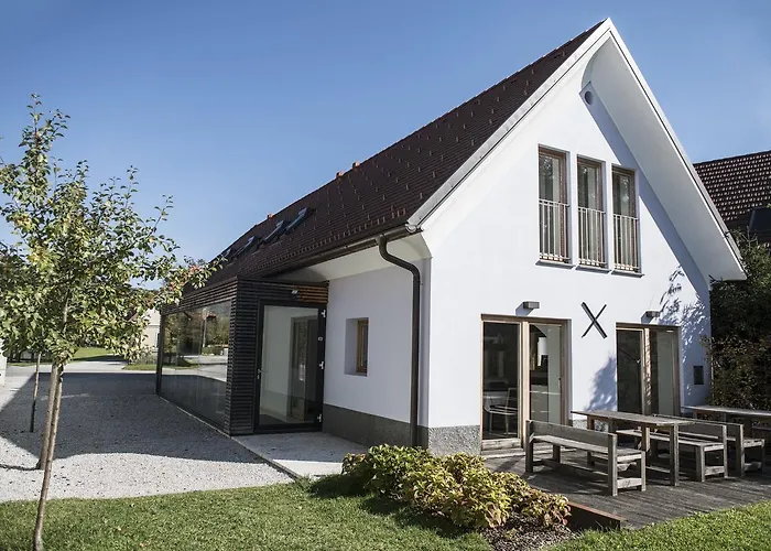 Skrabceva Domacija Ribnica